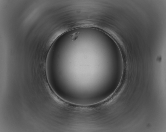 X0000093391289200710111508