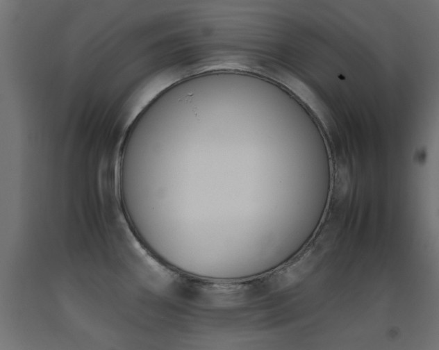 X0000093391290200710111508