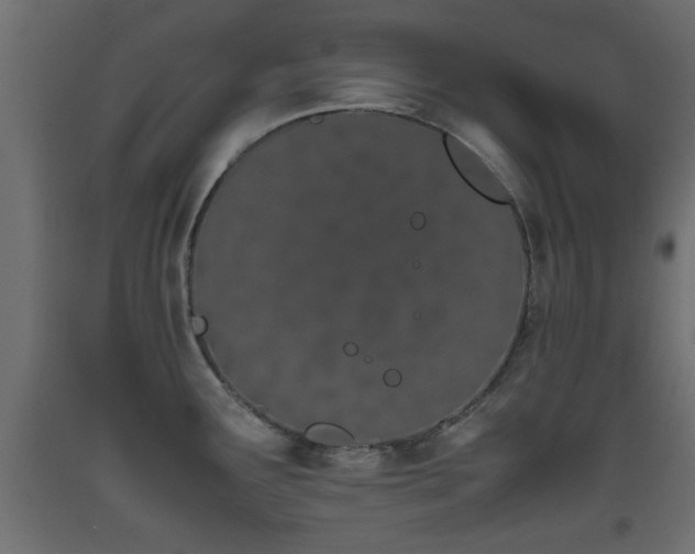 X0000093391291200710111508