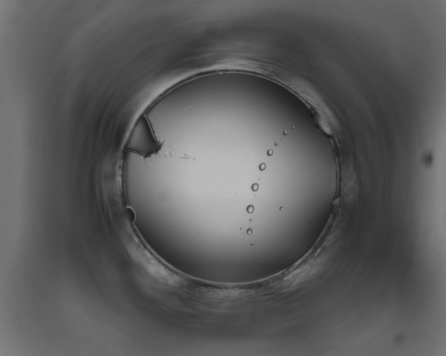 X0000093391292200710111508