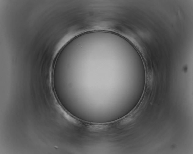 X0000093391294200710111508