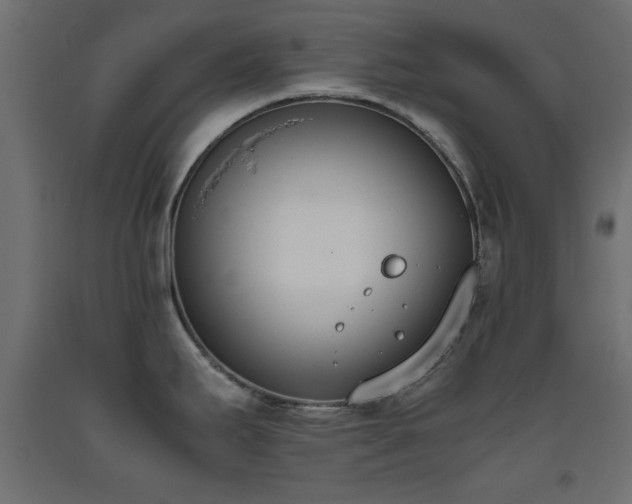 X0000093391295200710111508