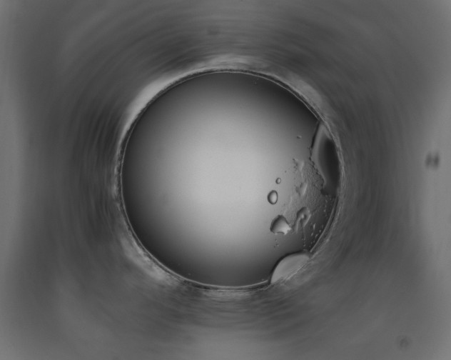 X0000093391296200710111508