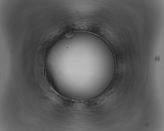 X0000093391297200710111507