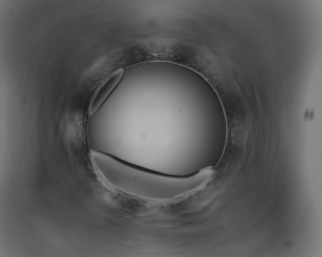 X0000093391298200710111507
