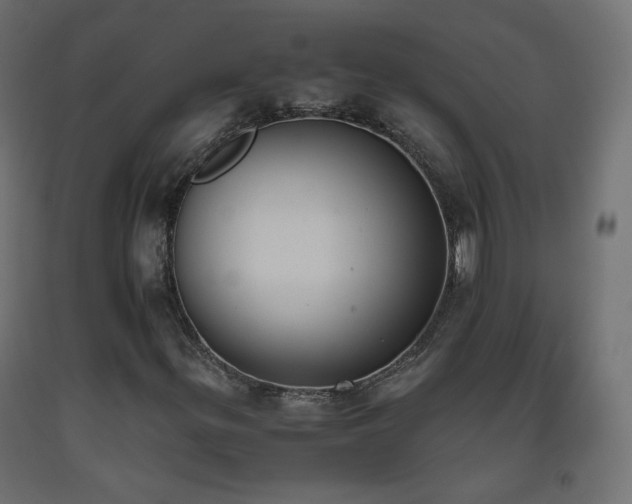 X0000093391299200710111507