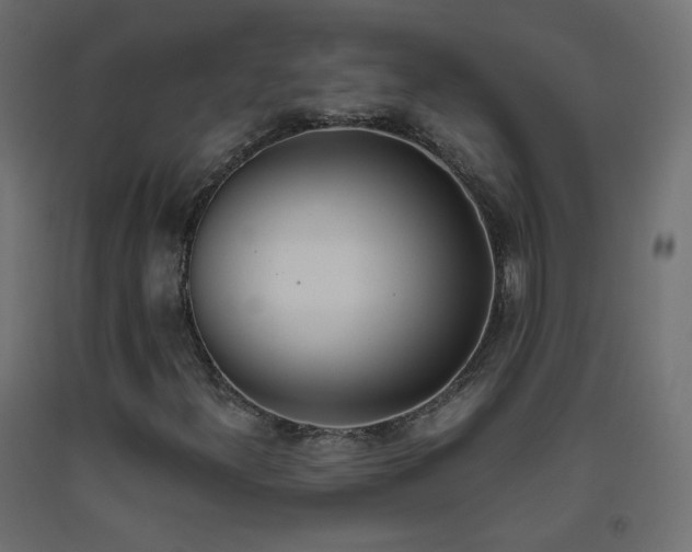 X0000093391300200710111507