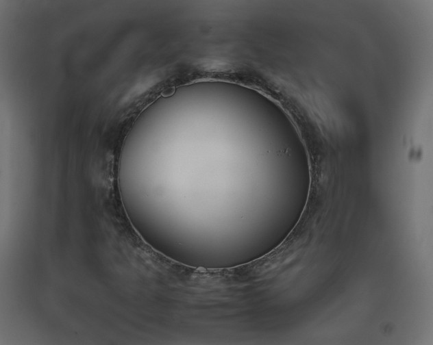 X0000093391301200710111507