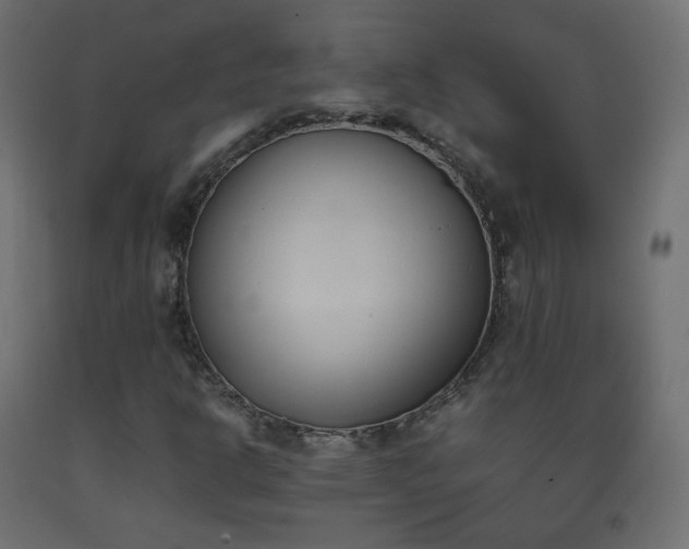 X0000093391302200710111507