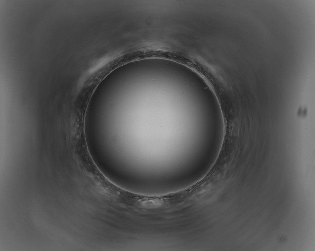 X0000093391303200710111507