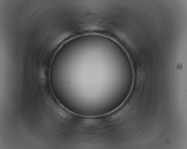 X0000093391305200710111507