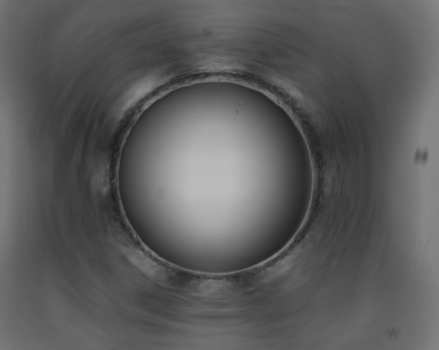 X0000093391306200710111507