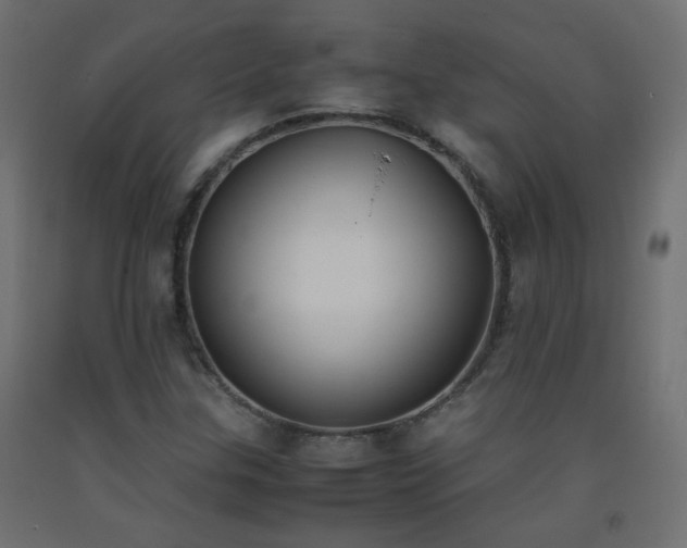 X0000093391307200710111507