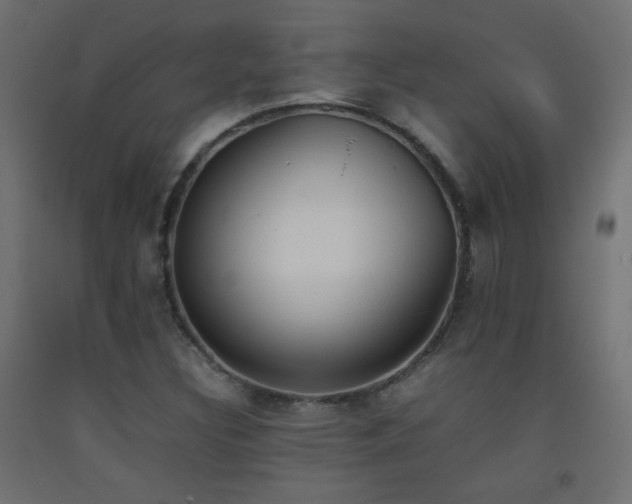 X0000093391308200710111507
