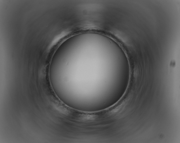 X0000093391309200710111507
