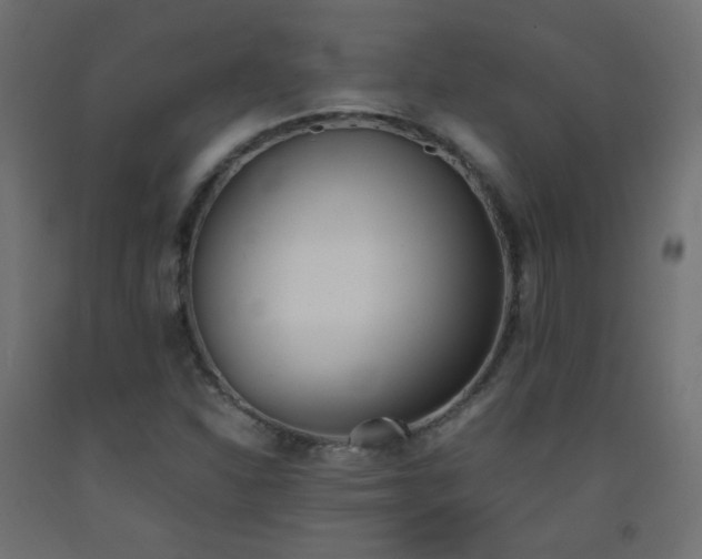X0000093391310200710111507