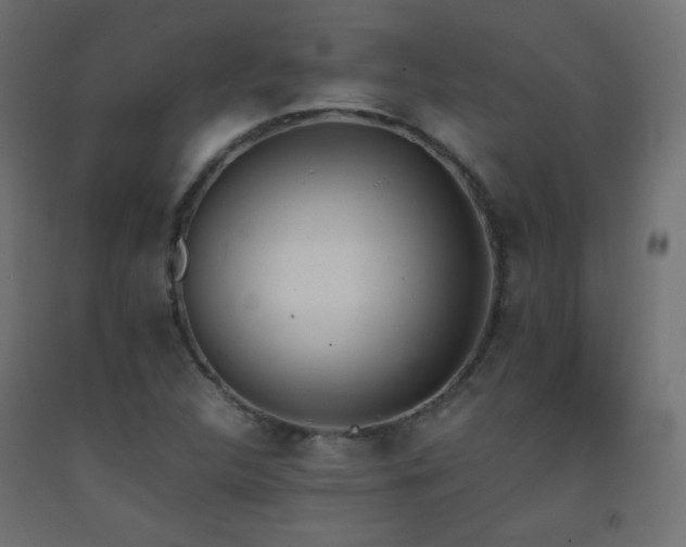 X0000093391312200710111507