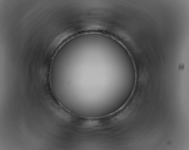 X0000093391313200710111507