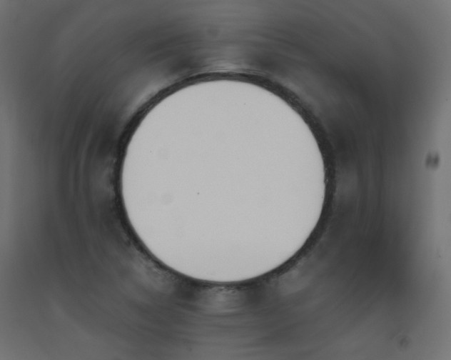 X0000093391314200710111507