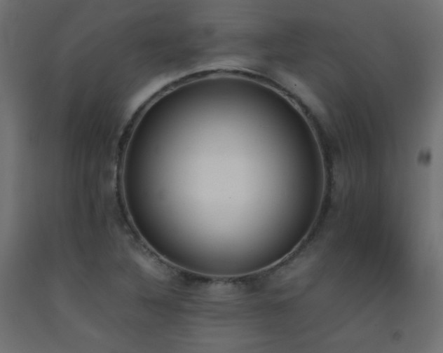 X0000093391316200710111507