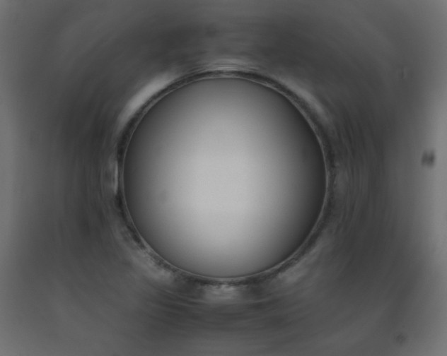 X0000093391317200710111507