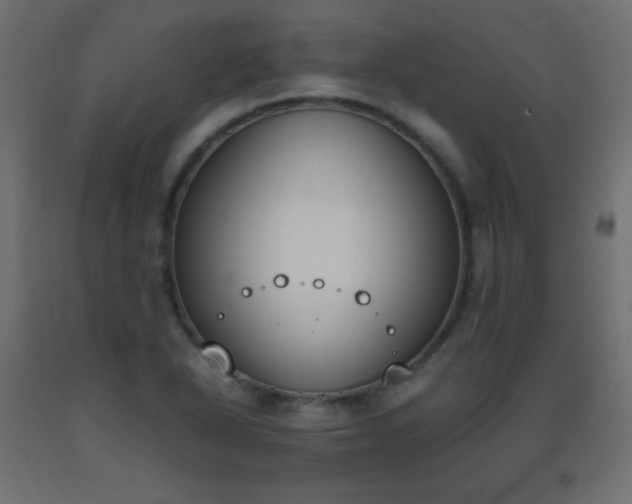 X0000093391318200710111507