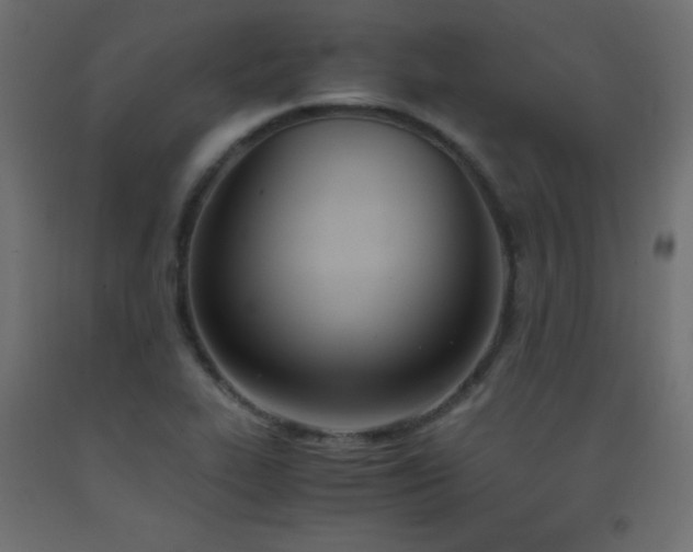 X0000093391319200710111507