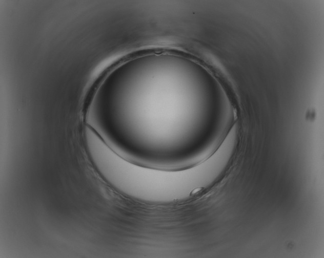 X0000093391320200710111507