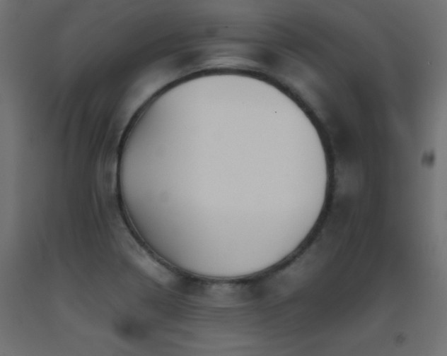 X0000093391322200710111507
