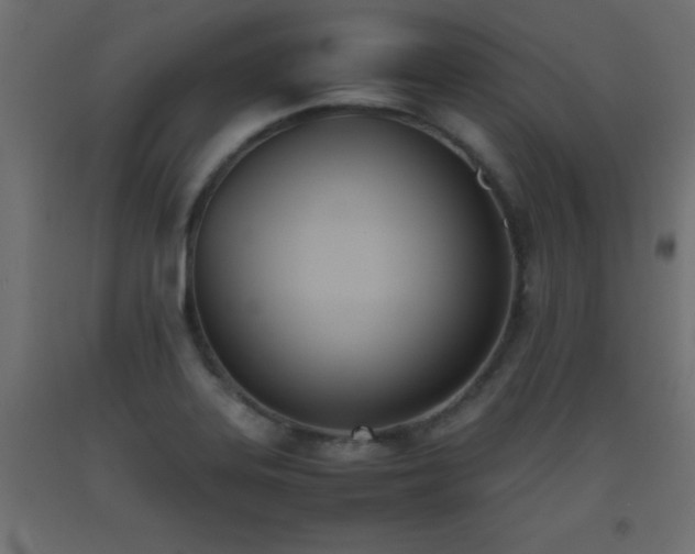 X0000093391323200710111508