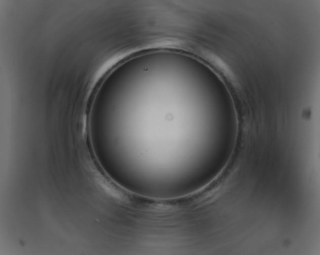 X0000093391324200710111508