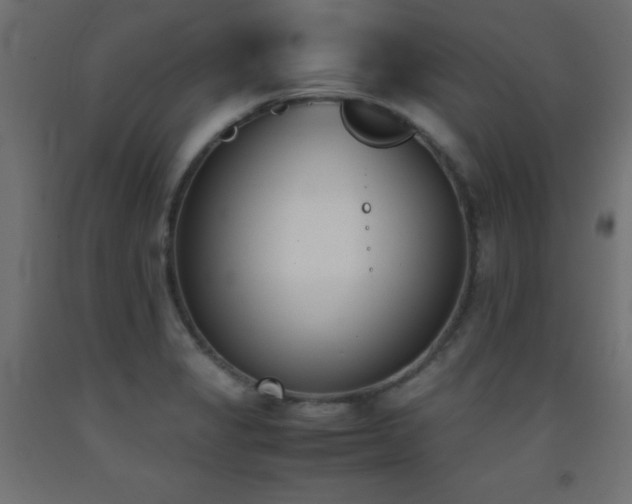 X0000093391325200710111508
