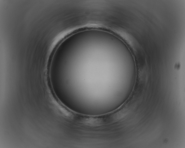 X0000093391327200710111508