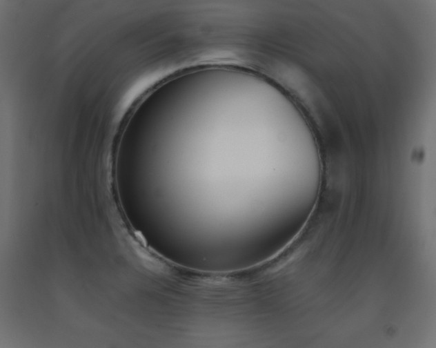 X0000093391328200710111508