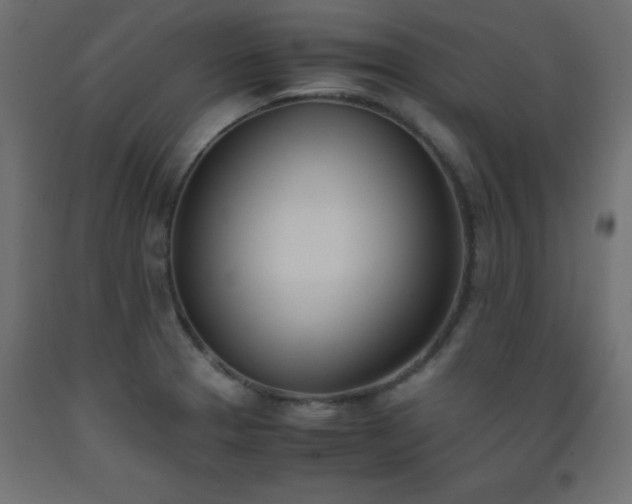 X0000093391329200710111508