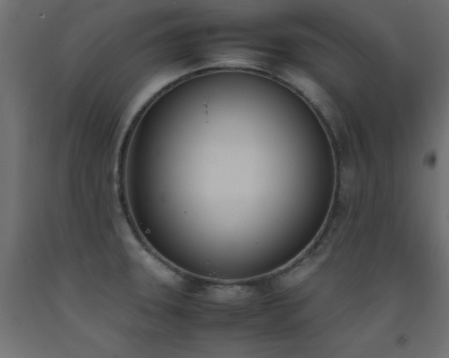 X0000093391331200710111508