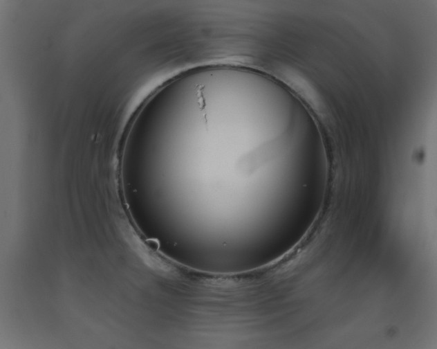 X0000093391332200710111508