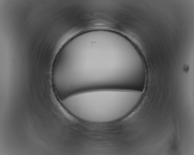 X0000093391333200710111508