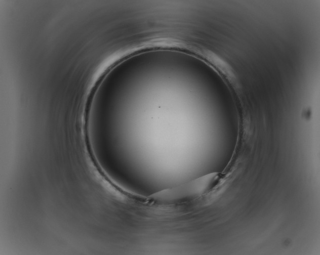 X0000093391334200710111508