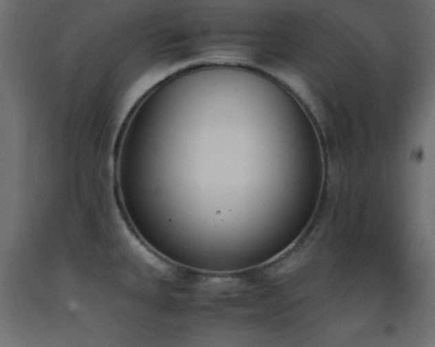 X0000093391335200710111508