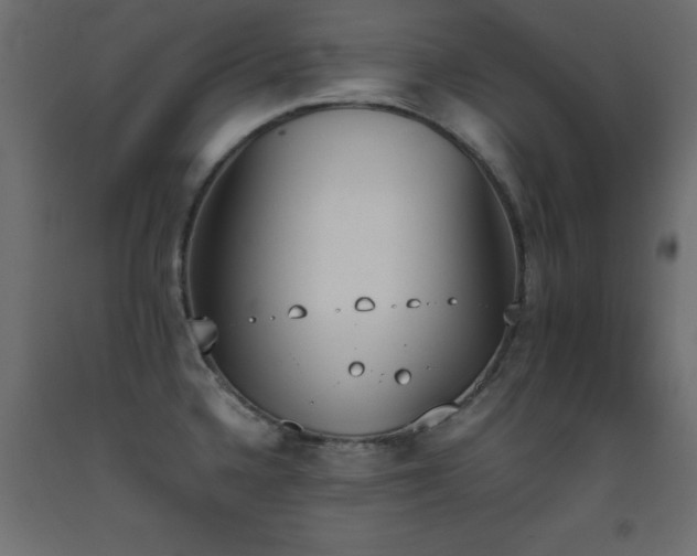 X0000093391336200710111508