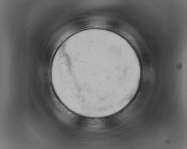 X0000093391338200710111508