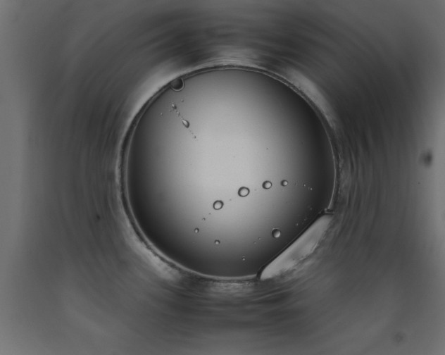 X0000093391339200710111508