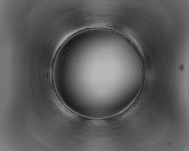 X0000093391340200710111508