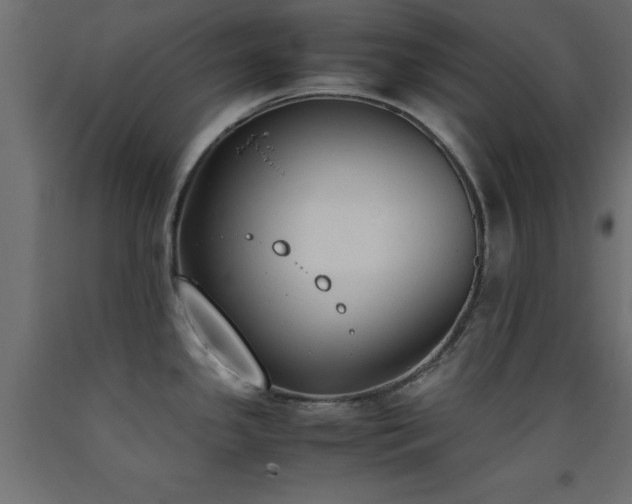 X0000093391341200710111508