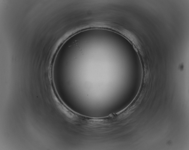 X0000093391342200710111508