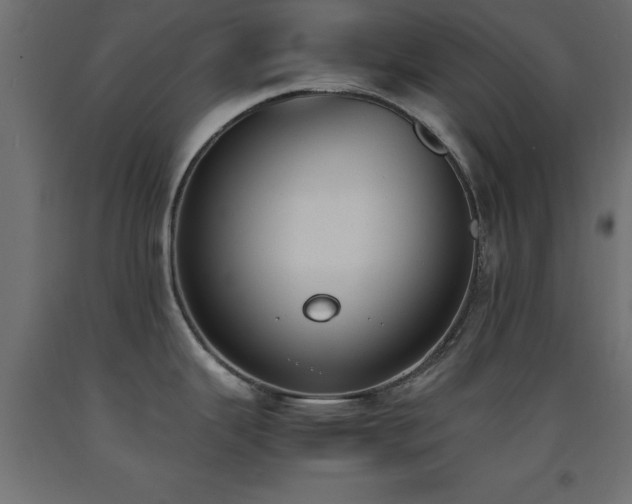 X0000093391343200710111508