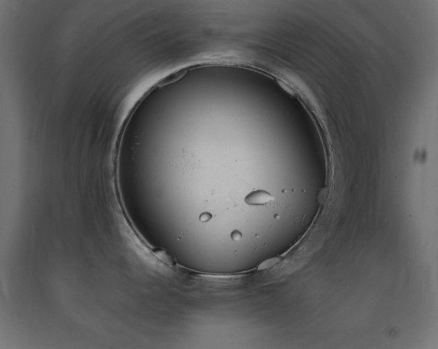 X0000093391344200710111508