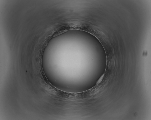 X0000093391345200710111507