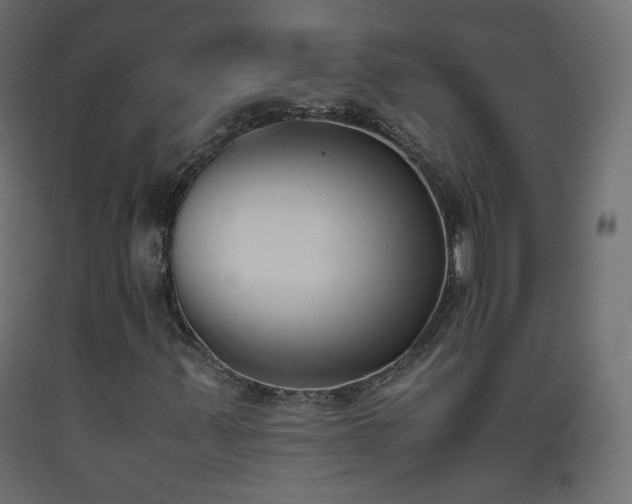 X0000093391347200710111507